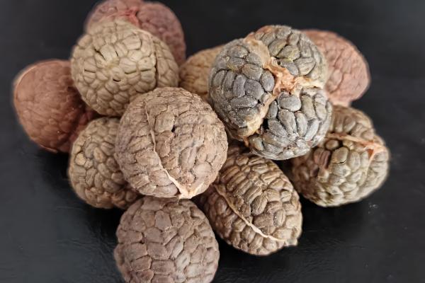 香辛料的种类，分为以下6个大类