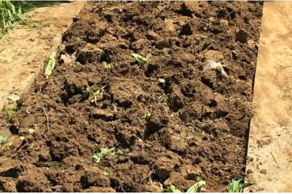 种植蔬菜一亩的利润，大约是3-4万元一年