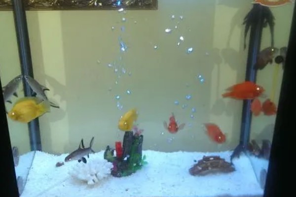 深度为40厘米的鱼缸需要多高的水位，保持在35厘米左右比较好