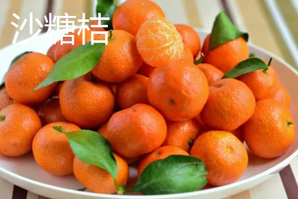 沙糖桔与南丰桔的区别，外观和口感均不同