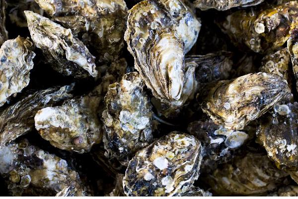 乳山生蚝的上市时间，集中在11月份至翌年5月份