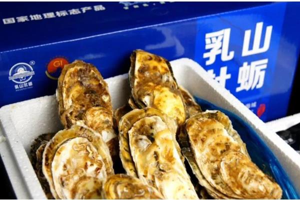 乳山生蚝的上市时间，集中在11月份至翌年5月份