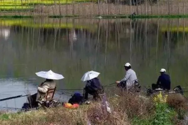 初春钓鱼在深水还是浅水，一般在深水中作钓