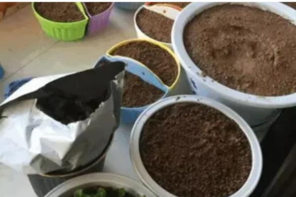 怎么让盆栽草莓结果，采果期间主施磷钾肥