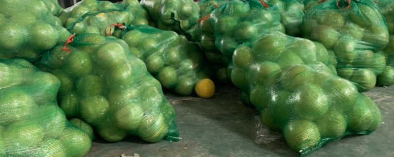 柚子如何保存，可以在冷库储藏或常温室内架藏