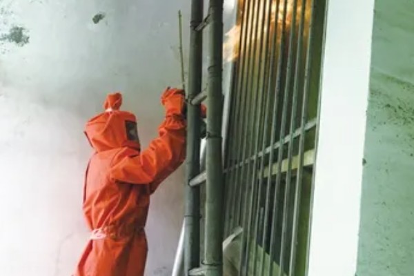 被一只马蜂蛰了有什么后果，被大型马蜂蛰到会很危险