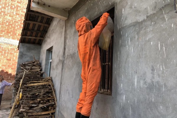 被一只马蜂蛰了有什么后果，被大型马蜂蛰到会很危险