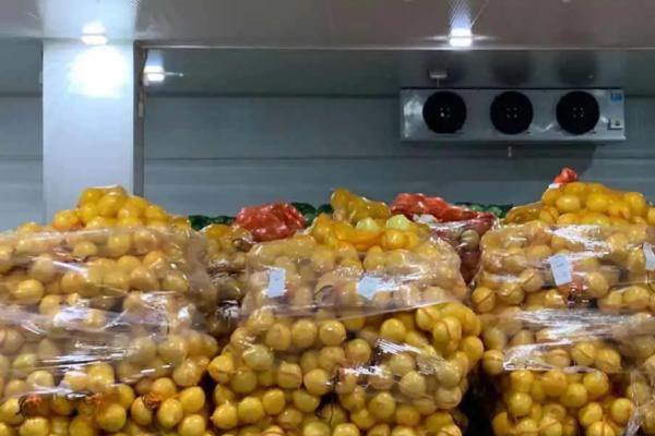 柚子如何保存，可以在冷库储藏或常温室内架藏