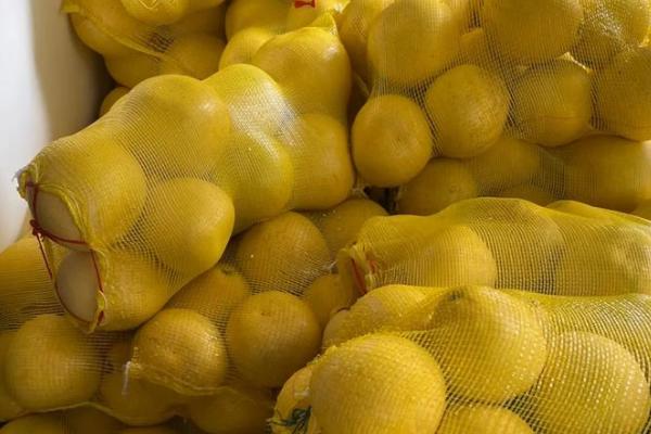 柚子如何保存，可以在冷库储藏或常温室内架藏