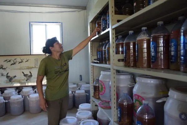 剩余农药如何存放,没用完的两种农药不可混在一个瓶