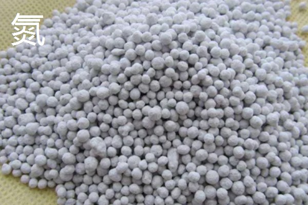 低温度的茶园如何保暖，可以营造防风林