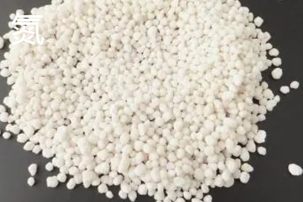 低温度的茶园如何保暖，可以营造防风林