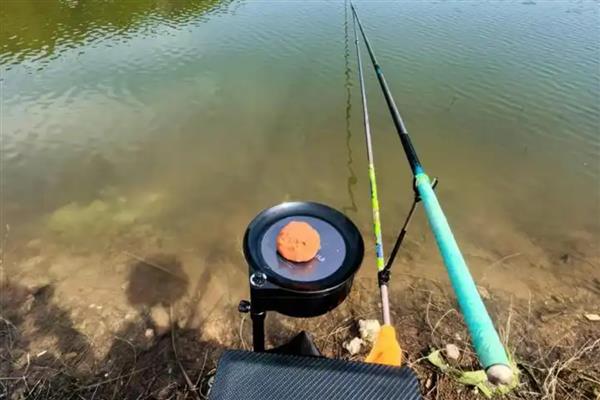 立春之后鱼好不好钓，南方地区全天都能钓