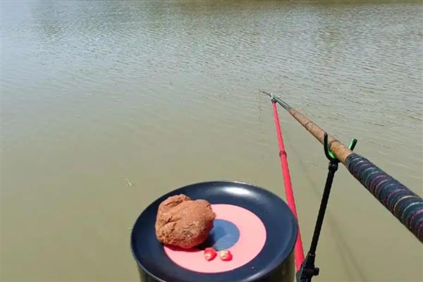 立春之后鱼好不好钓，南方地区全天都能钓