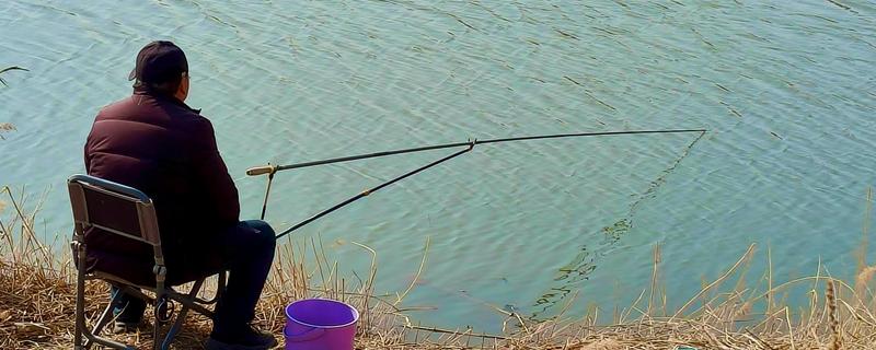 立春之后鱼好不好钓，南方地区全天都能钓