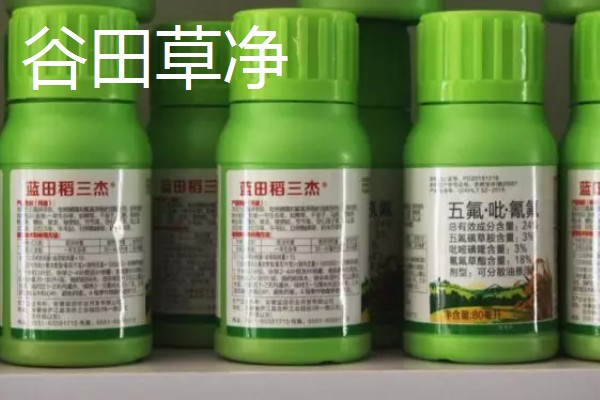 谷子苗后除草用什么药剂好,可选择单嘧磺隆防除阔叶杂草