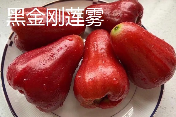 莲雾一共有几个品种，常见的有黑金刚、大红叶等品种