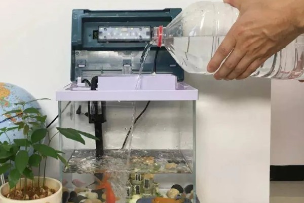 冬天金鱼为什么突然就死了，可能是因为温度太低了