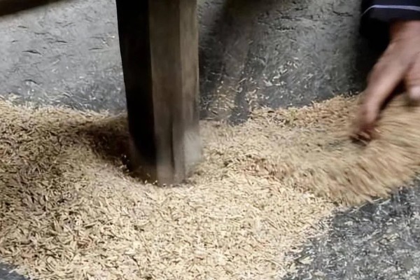 一斤谷子可以打多少米，能打0.7斤米左右