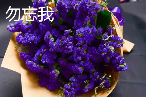 哪些花卉的花语代表老师，常见向日葵、康乃馨等品种