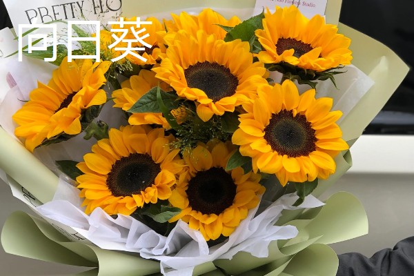 哪些花卉的花语代表老师，常见向日葵、康乃馨等品种