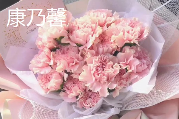 哪些花卉的花语代表老师，常见向日葵、康乃馨等品种