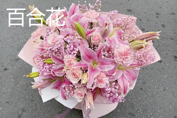 哪些花卉的花语代表老师，常见向日葵、康乃馨等品种