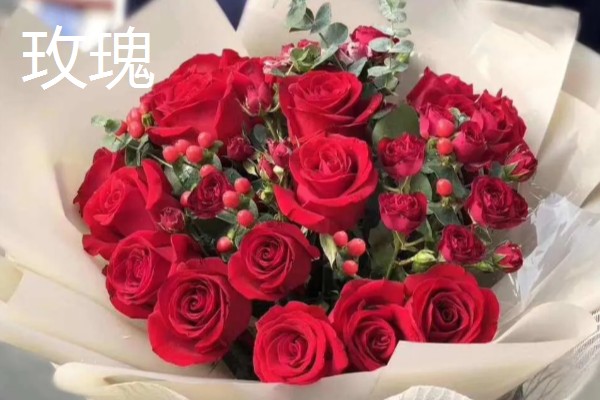 哪些花卉的花语代表老师，常见向日葵、康乃馨等品种