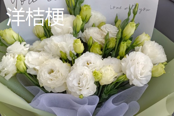 哪些花卉的花语代表老师，常见向日葵、康乃馨等品种