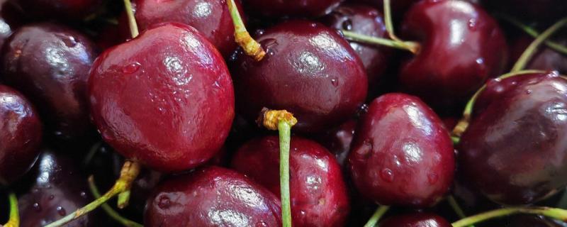 冬季水果有哪些，有车厘子、草莓等