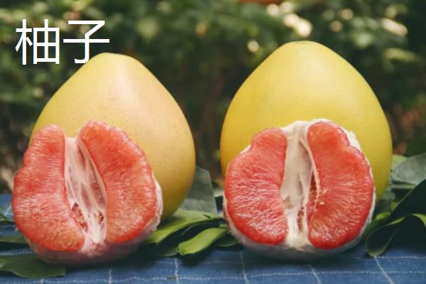 冬季水果有哪些，有车厘子、草莓等