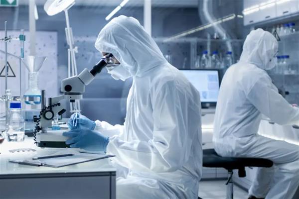 哪些工作工资高，以下10种收入可观