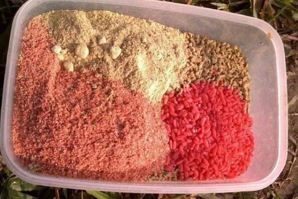 鲢鳙怎么钓底，感兴趣的味型就是酸臭味