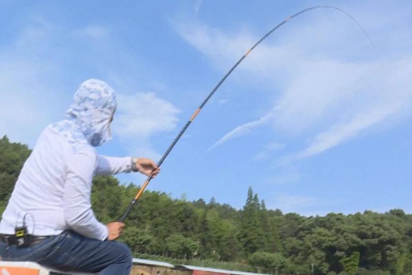 鲢鳙怎么钓底，感兴趣的味型就是酸臭味