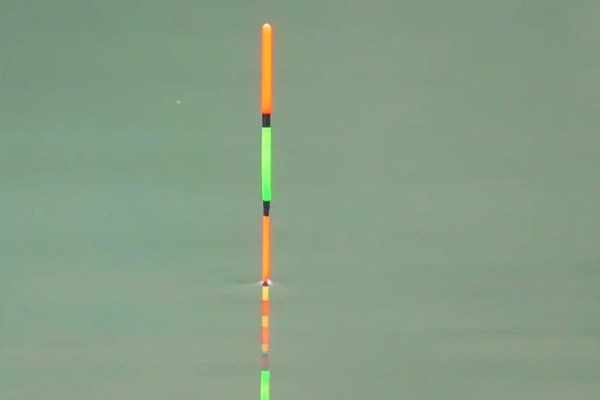 鲢鳙怎么钓底，感兴趣的味型就是酸臭味