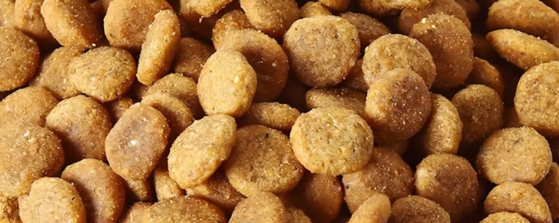 挑选狗粮的注意事项，首先要注意狗粮成分