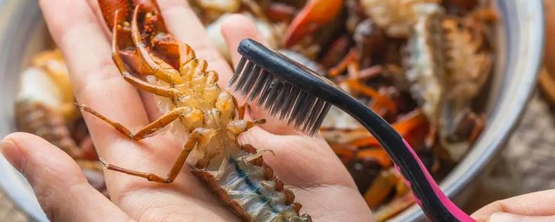 怎么清洗小龙虾，浸泡后刷干净再去除无法食用的部分