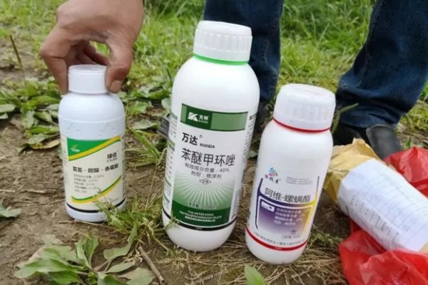 过期农药如何处理，必须严格遵守环境保护法律