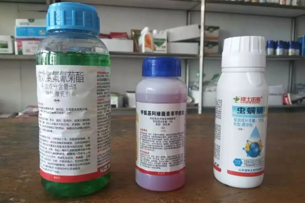 过期农药如何处理，必须严格遵守环境保护法律