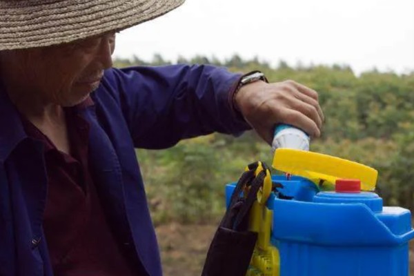 过期农药如何处理，必须严格遵守环境保护法律