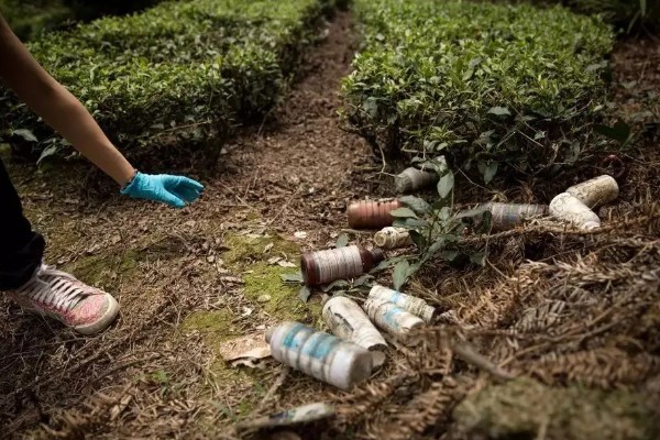 过期农药如何处理，必须严格遵守环境保护法律