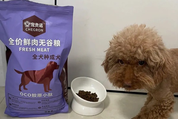 挑选狗粮的注意事项，首先要注意狗粮成分