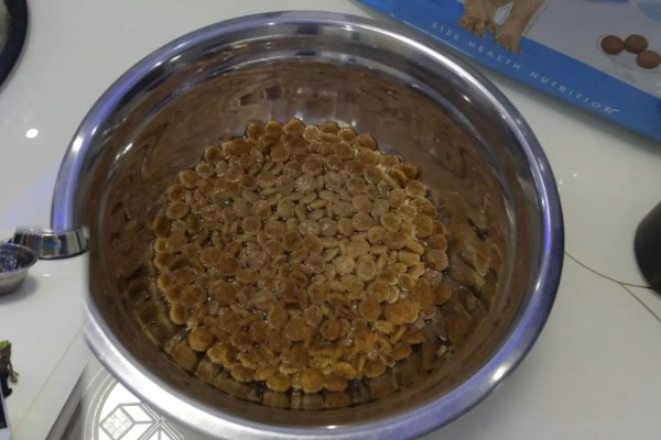 挑选狗粮的注意事项，首先要注意狗粮成分