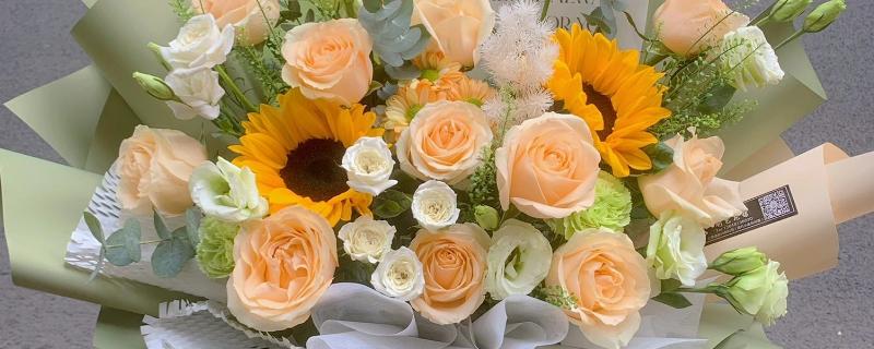 三朵玫瑰一朵向日葵的寓意，寓意温暖幸福、美好爱情等