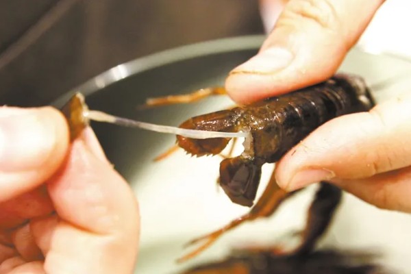 怎么清洗小龙虾，浸泡后刷干净再去除无法食用的部分