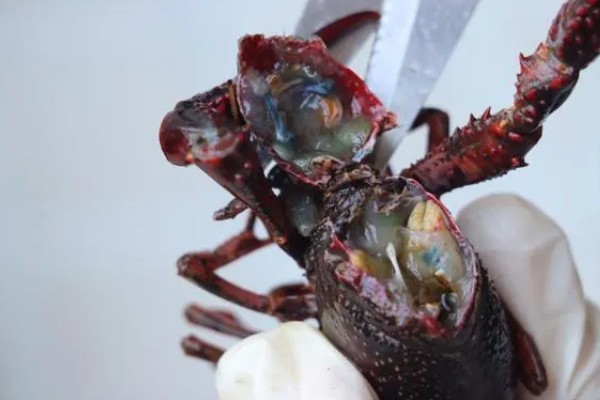 怎么清洗小龙虾，浸泡后刷干净再去除无法食用的部分