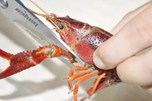 怎么清洗小龙虾，浸泡后刷干净再去除无法食用的部分