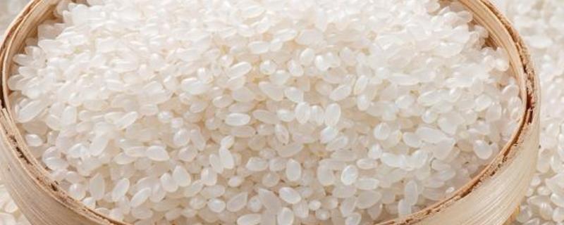 绿色大米怎么认证，提交申请后由专家审查