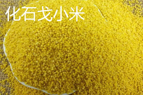 辽宁省朝阳市的水果特产，北票西红柿物美价廉