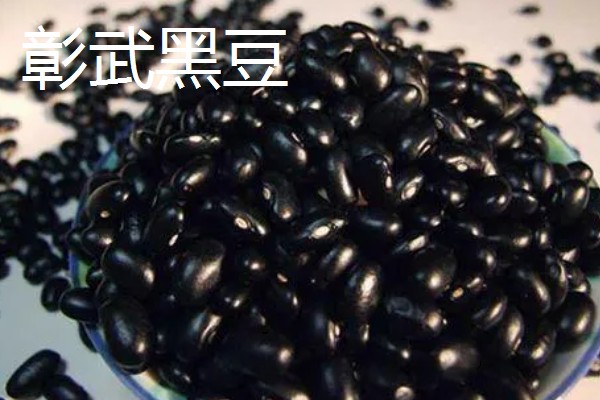 辽宁省朝阳市的水果特产，北票西红柿物美价廉